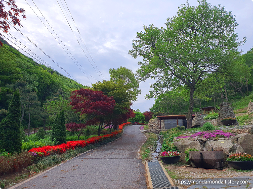 석모도수목원 산책로