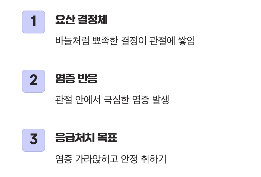 고통의 원인&amp;#44; 뾰족한 요산 결정체