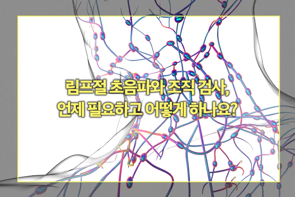 림프절 초음파와 조직 검사 필요시기 방법