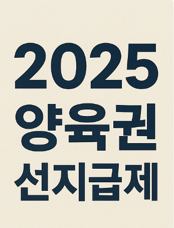 2025 양육비 선지급제