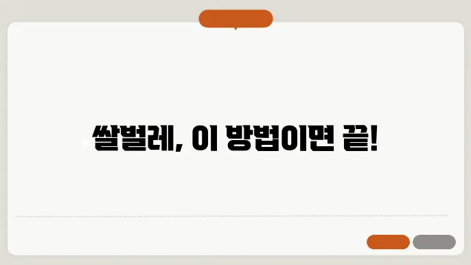 쌀벌레 없애는법 꿀팁 알려드림