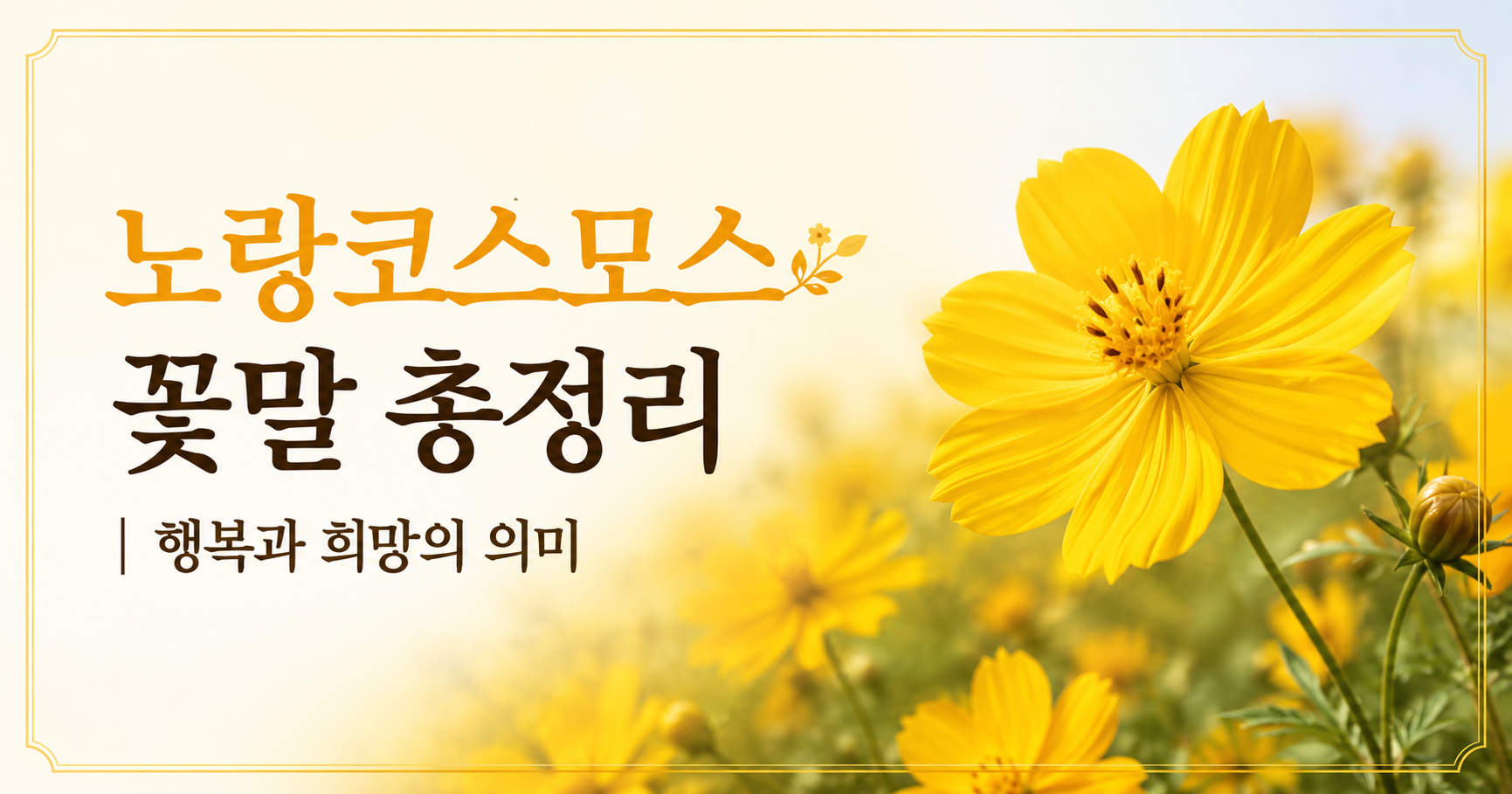 노랑코스모스 꽃말