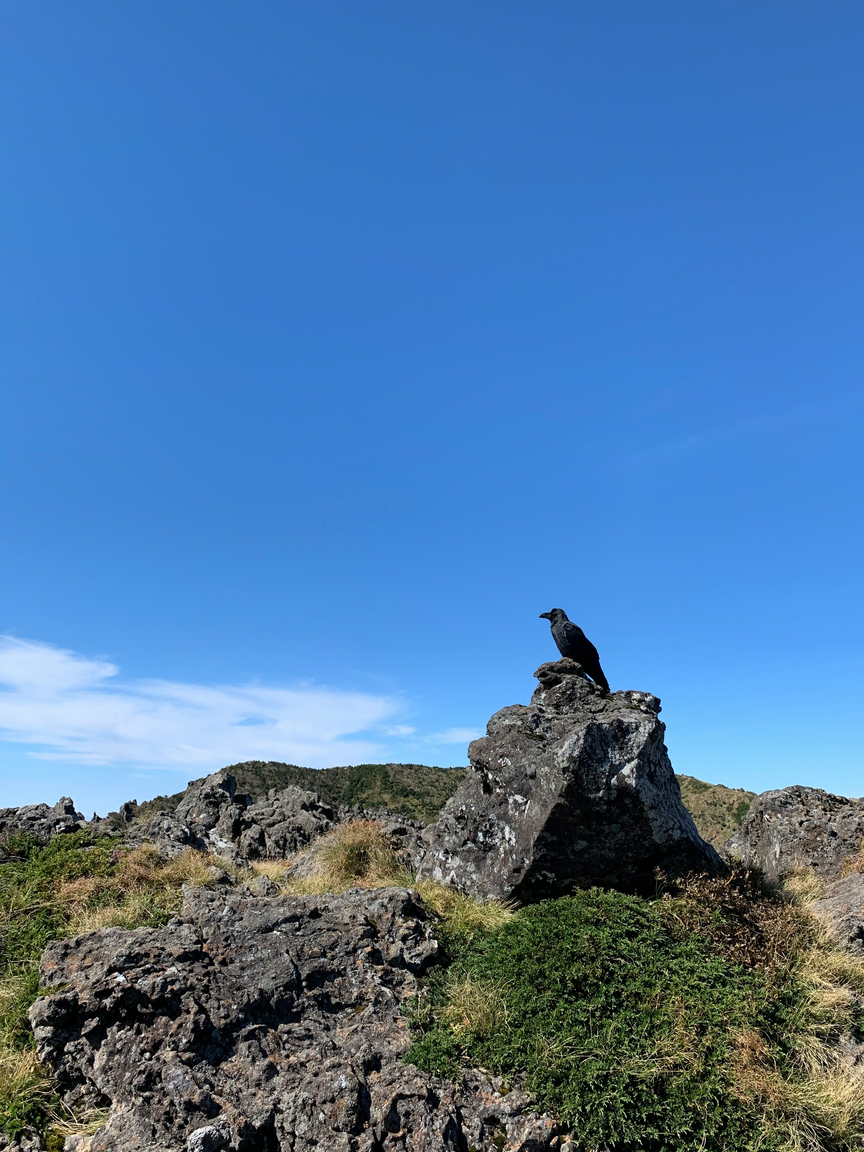 한라산 백록샘 사전 예약(6월 2일 오픈)