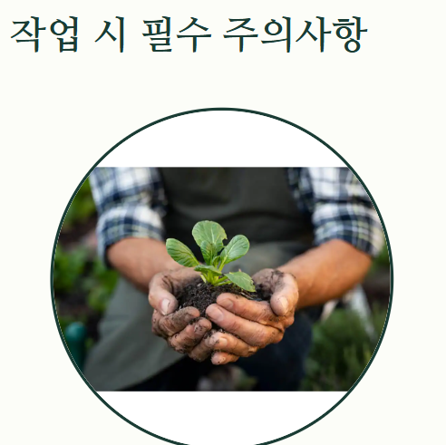 참외 순치기 방법