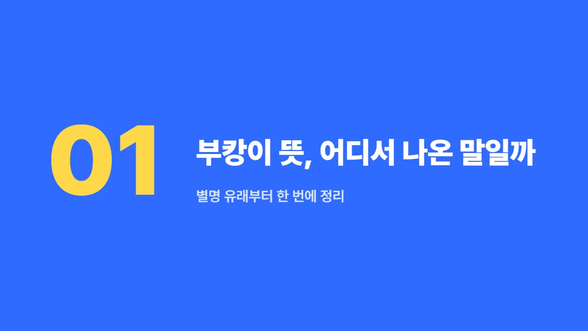 부캉이 뜻, 어디서 나온 말일까 — 별명 유래부터 한 번에 정리