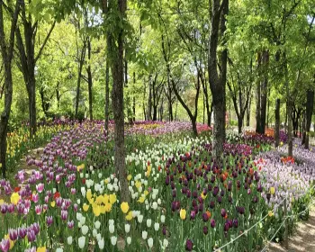 서울숲 공원 주차장24