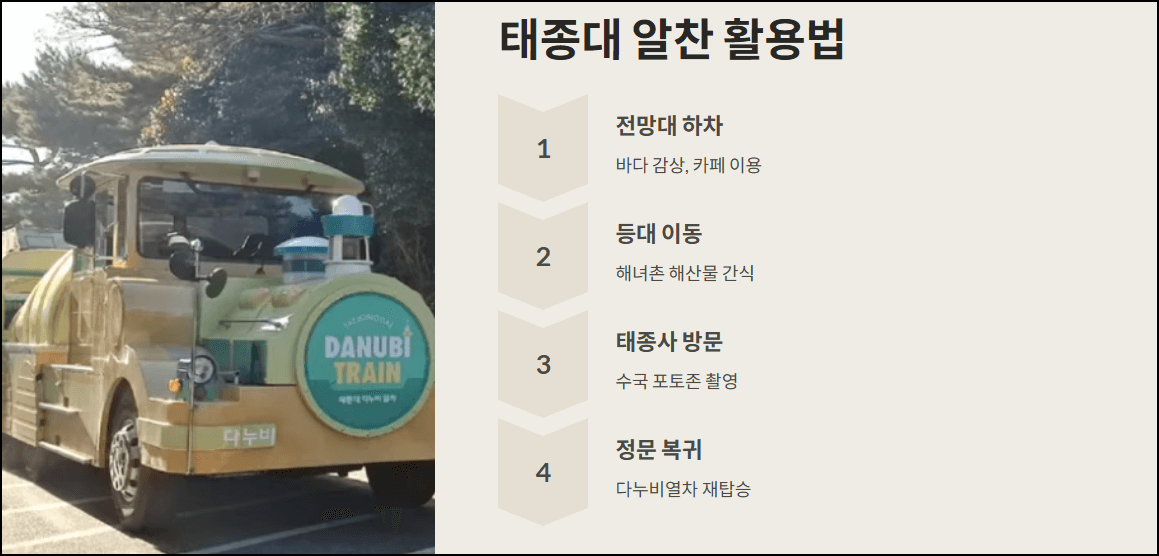 태종대에서의 알찬 활용법