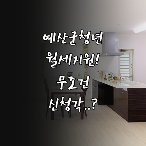 예산군 무주택 청년 월세 지원금 자격..