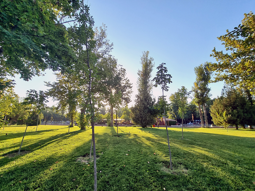 공원내 잔디광장