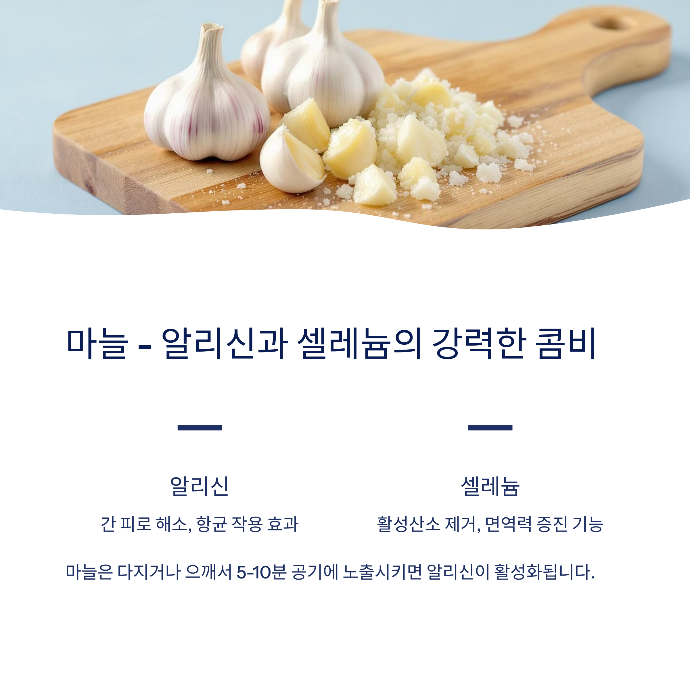 마늘 알리신과 셀레늄