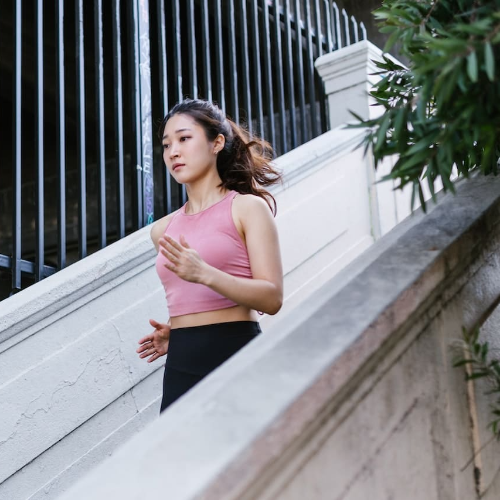 다이어트 식단 과 운동관리