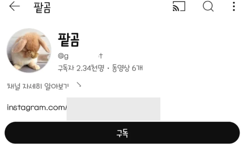 36주 낙태 유튜버 정보 팥곰