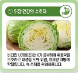 양배추즙의 효능