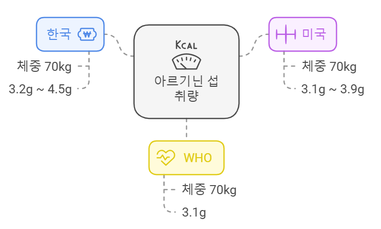 아르기닌 성인 권장 섭취량