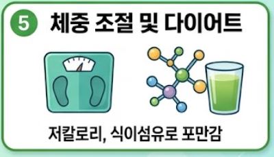 양배추즙의 효능