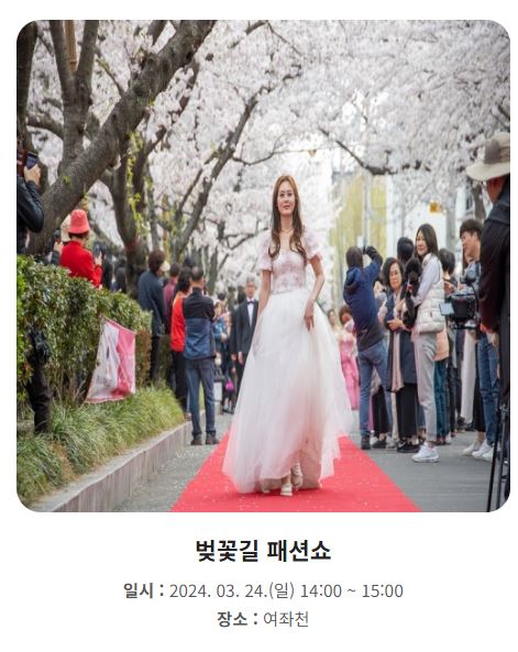 2024-진해군항제-벚꽃축제