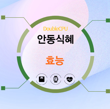 안동식혜 효능