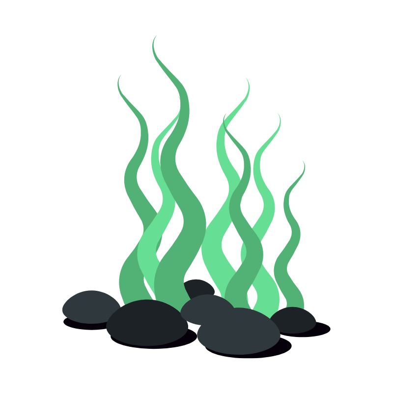 칼슘 많은 음식