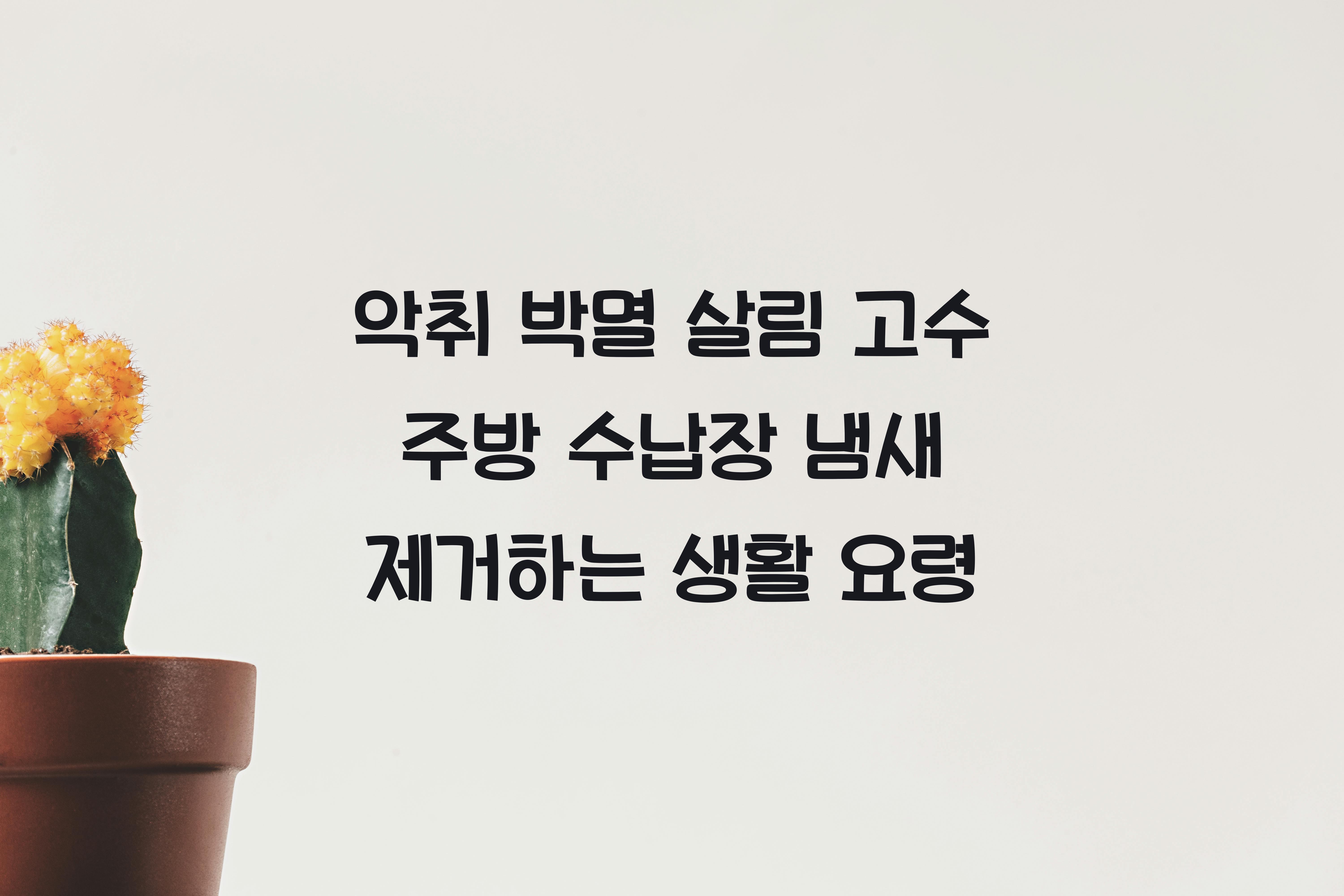 주방 수납장 냄새 제거하는 생활 요령