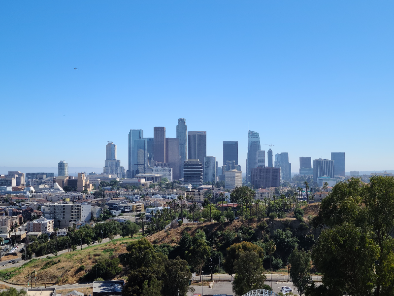 높은 빌딩들이 멀리에 모여 있고, 앞쪽으로는 낮은 건물들과 도로, 나무가 있다. 배경은 아주 파란 하늘.