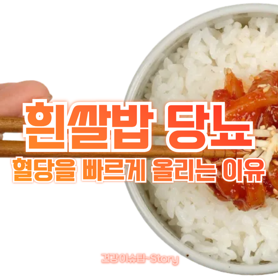흰쌀밥 당뇨
