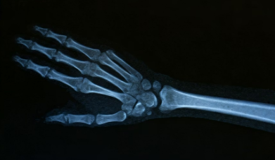 자주 묻는 질문 Q&A