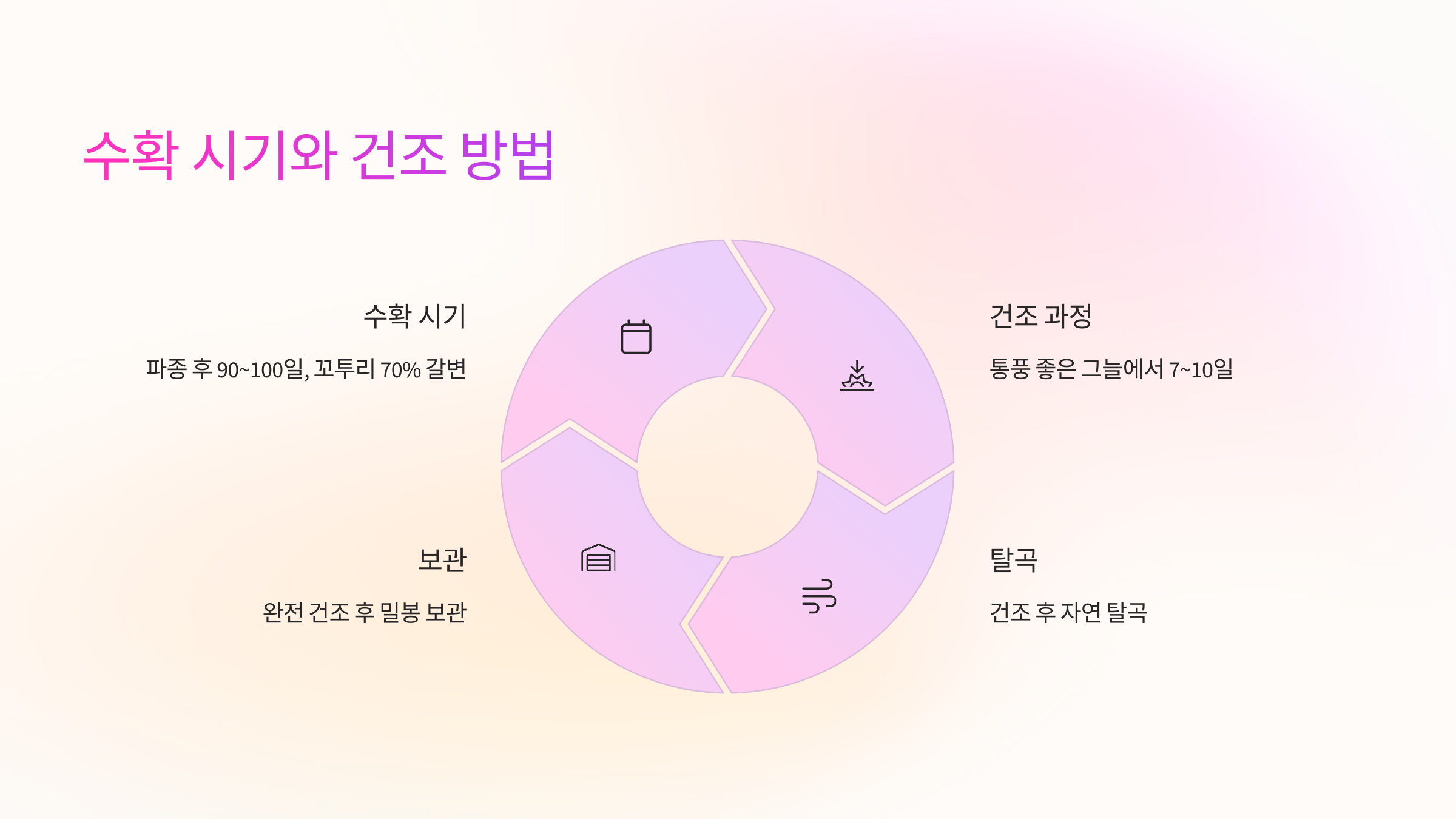 🌾 수확 시기와 건조 방법