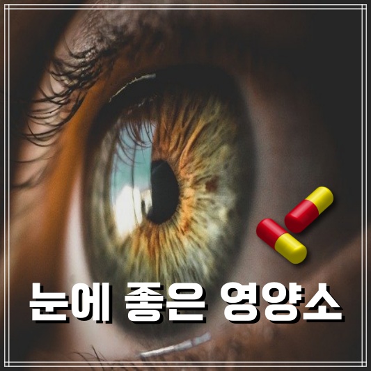 눈에 좋은 영양소, 눈 건강에 좋은 영양소