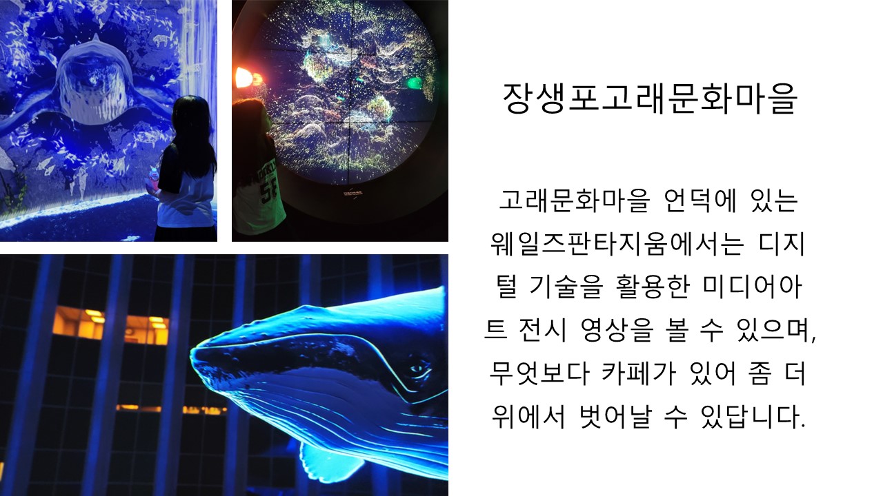 장생포 웨일즈판타지움