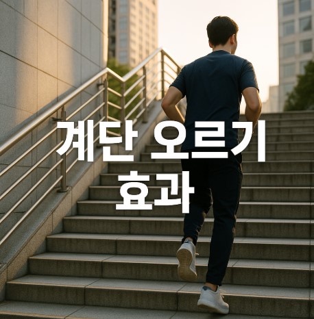 계단 오르기: 다이어트 · 심장 · 정신 건강까지