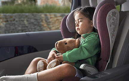 2025 카니발 하이브리드