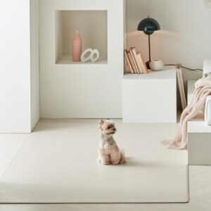 2023 반려인 능력시험