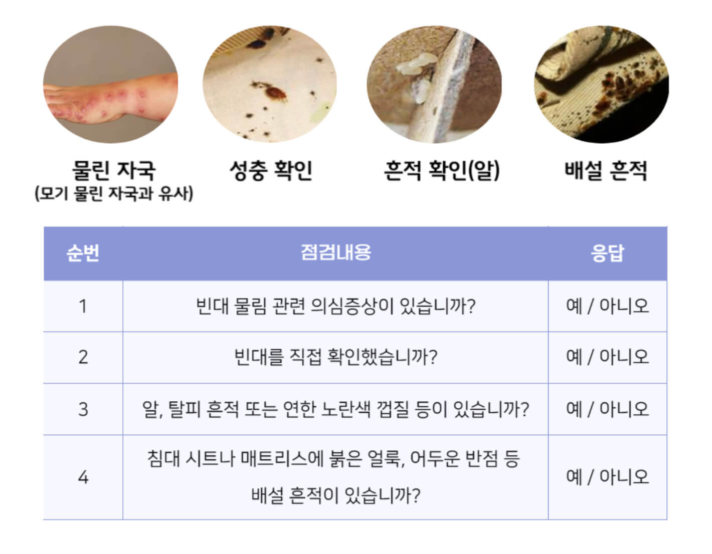 빈대 체크리스트