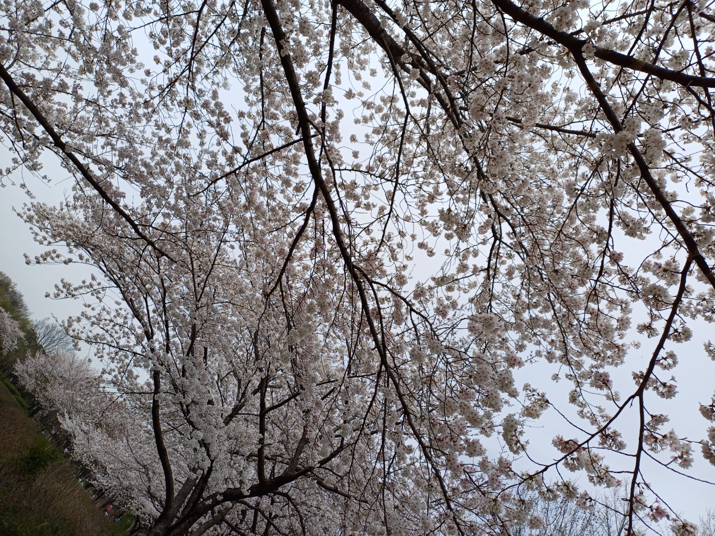 쌍암공원