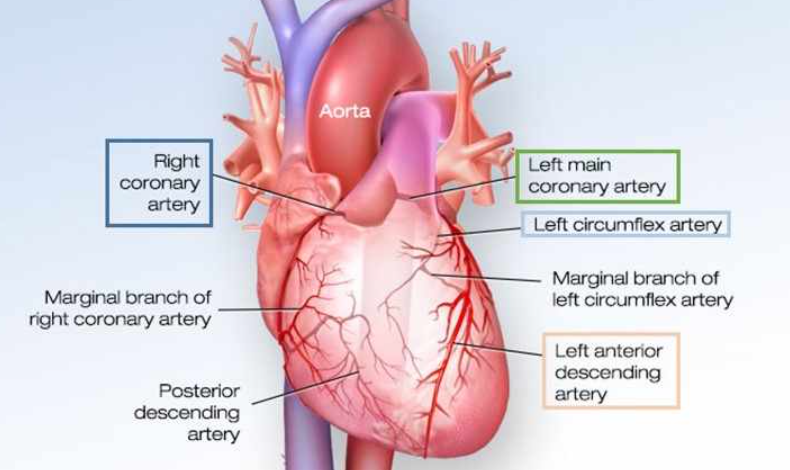 가슴-가운데-통증4