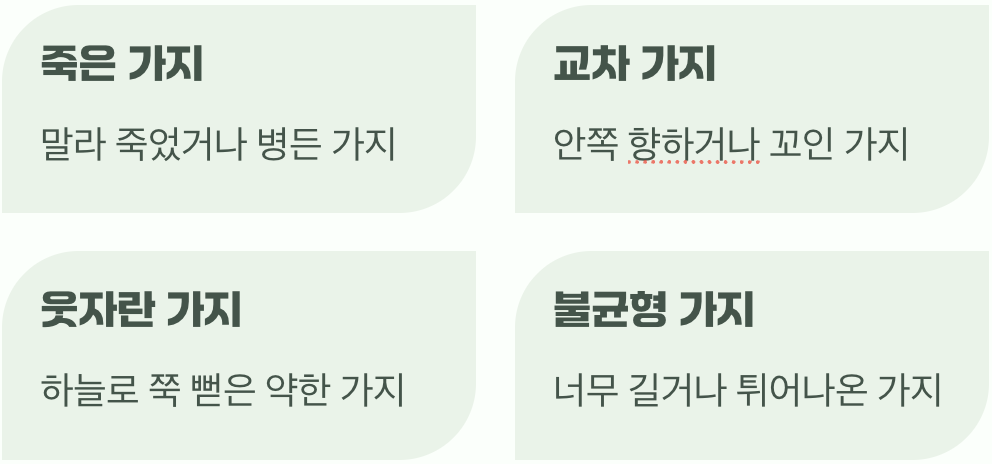 무엇을, 어떻게 잘라낼까요?