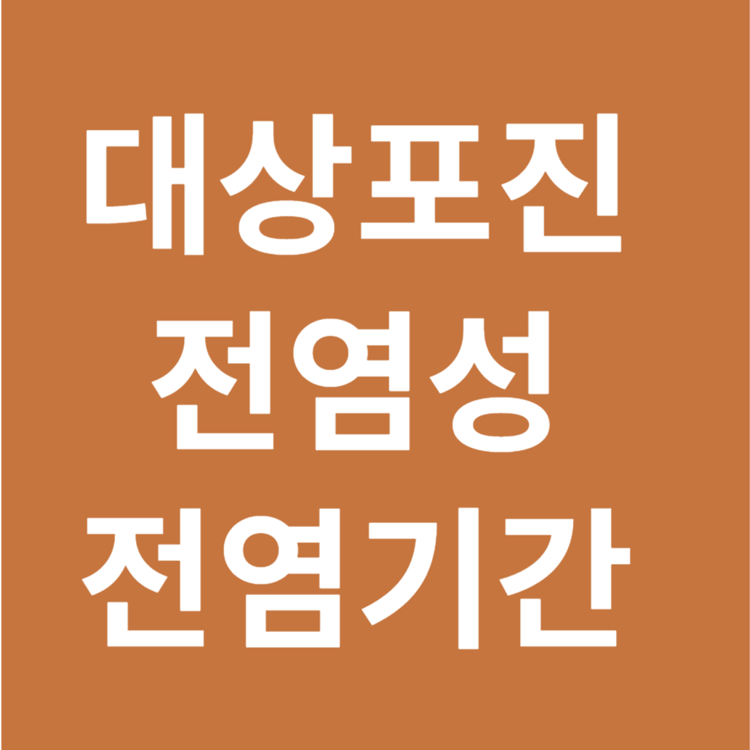 대상포진 점염성