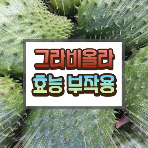 그라비올라 효능 부작용
