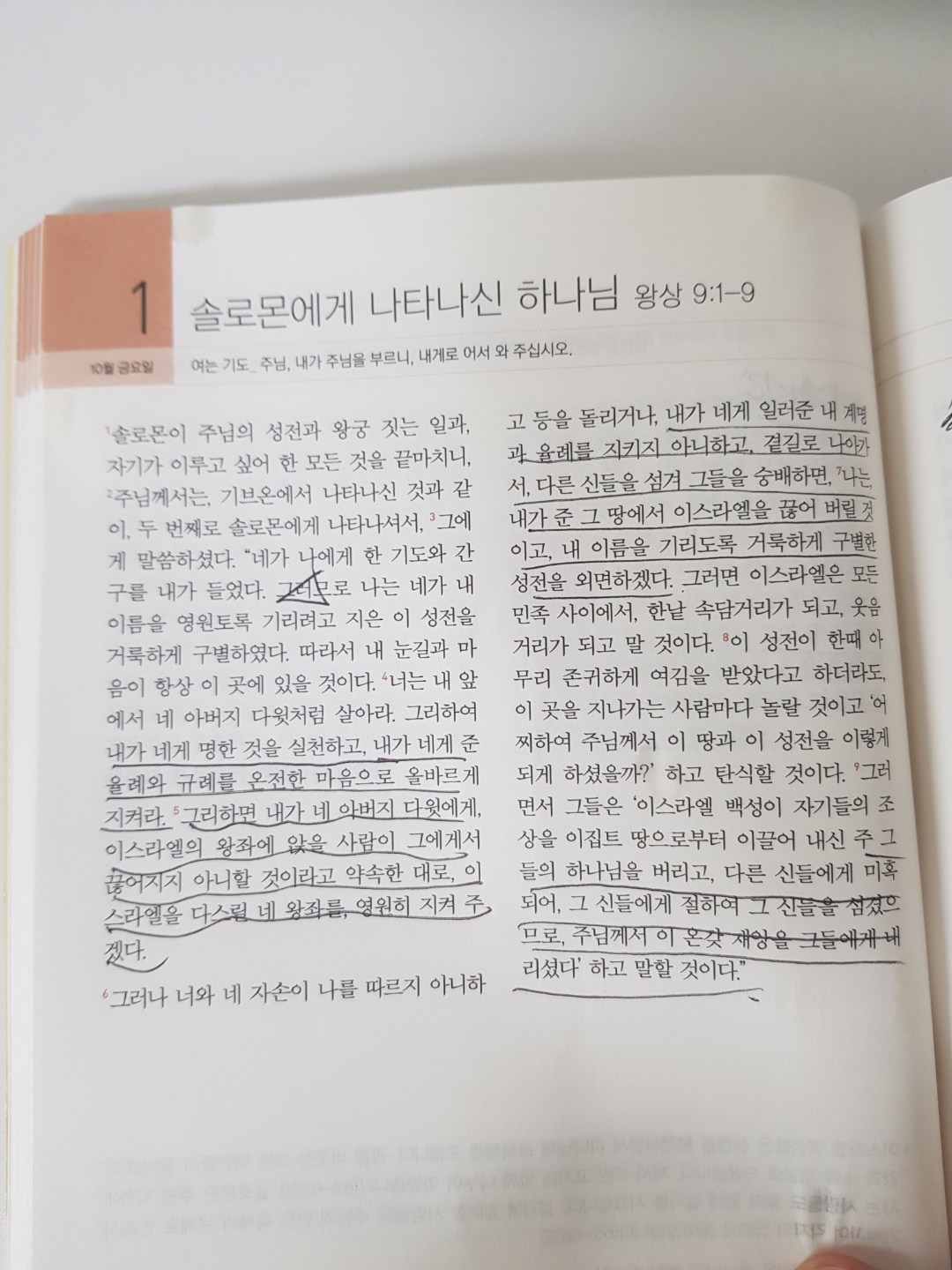 211001 시냇가에 심은 나무