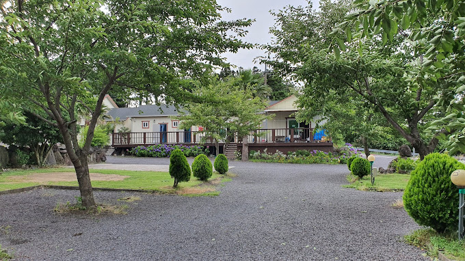 제주도 '벨리타 캠핑장' 미리보기