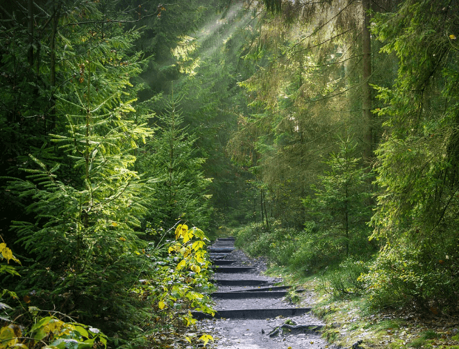 아침인사 이쁜 글