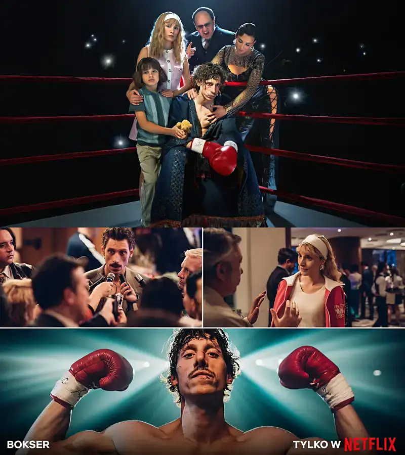 복서 (Boxer)