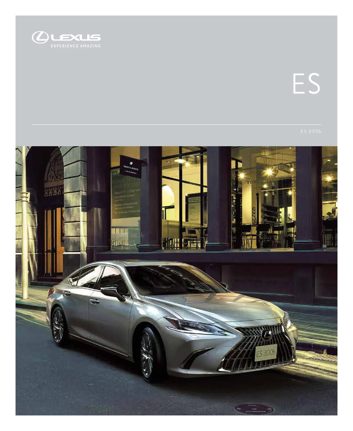 렉서스 ES 300h 차량 정보 이미지