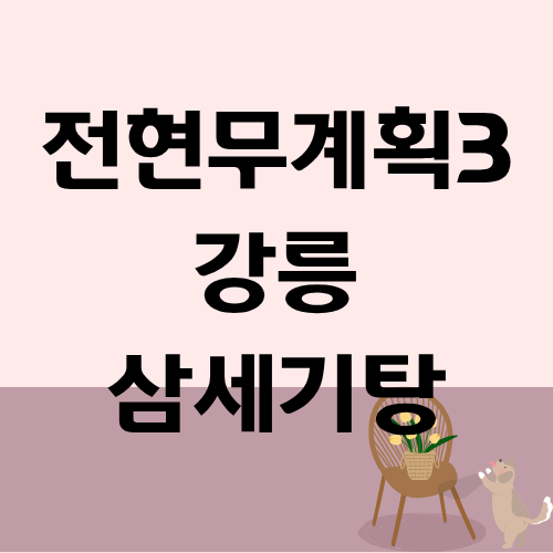 전현무계획3 강릉 삼세기탕 환희 브라이언