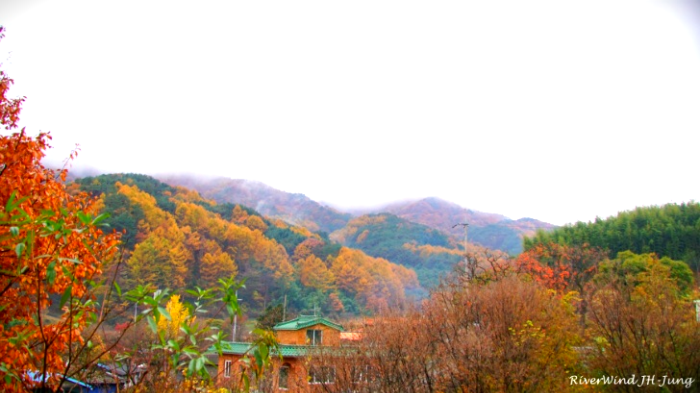 지리산 청학동 단풍