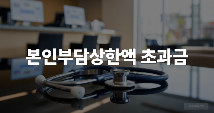 본인부담상한액 초과금 이미지