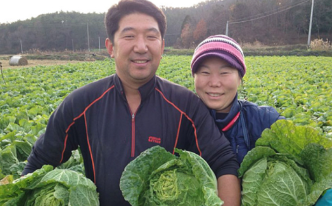 농부삼촌영농조합법인 해남배추
