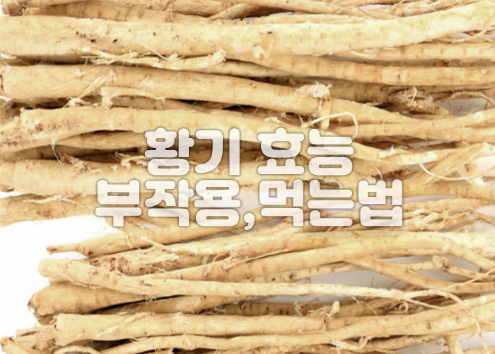 많은 황기가 흰배경의 바닥에 놓여져 있다