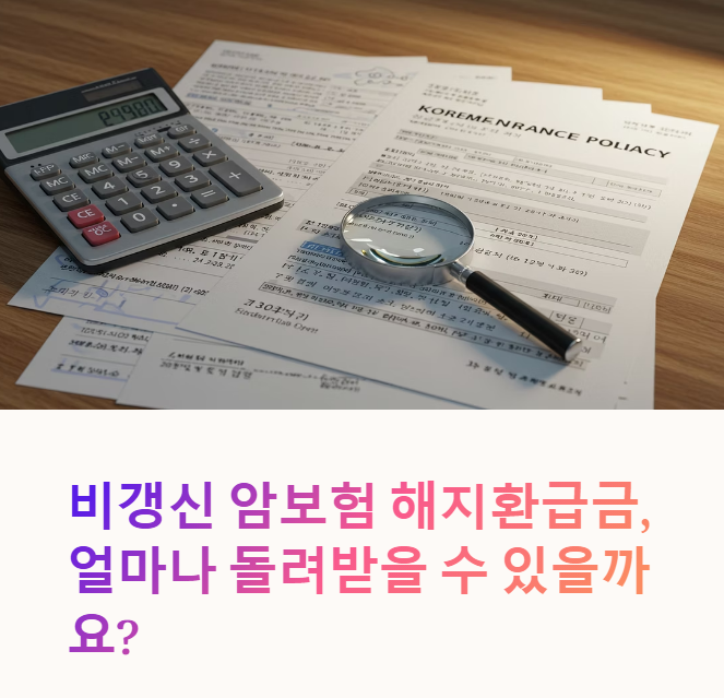 비갱신 암보험 해지환급금