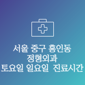 서울 중구 흥인동 정형외과 주말 토요일 일요일 문여는 병원 진료시간
